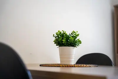 Planimetria di Appartamento da Bruna