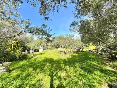 Giardino di Colori di Sardegna Apartments