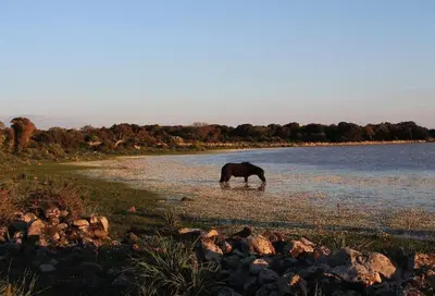 Paesaggio naturale nelle vicinanze dell'affittacamere