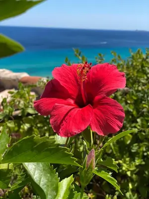 Paesaggio naturale nelle vicinanze della casa vacanze