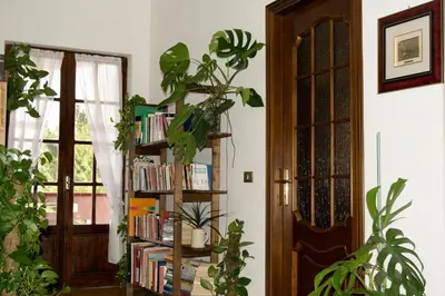 Biblioteca nel bed & breakfast