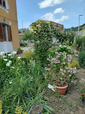 Giardino di beb san Nicola