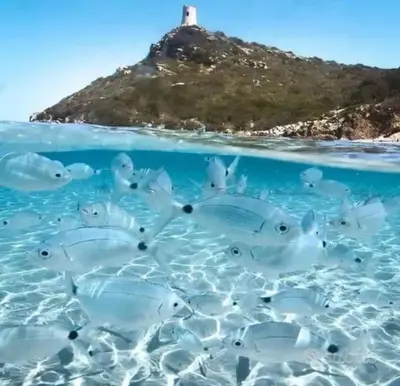 Paesaggio naturale nelle vicinanze dell'appartamento