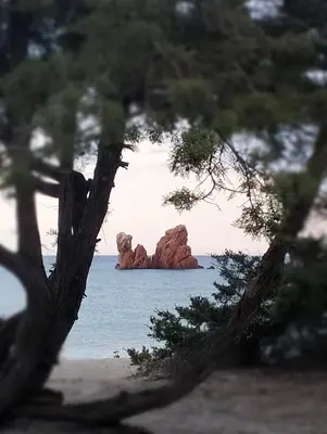 Paesaggio naturale nelle vicinanze dell'appartamento
