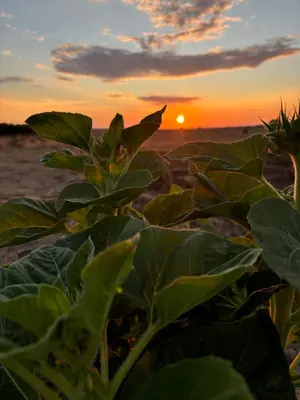 Paesaggio naturale nelle vicinanze dell'affittacamere