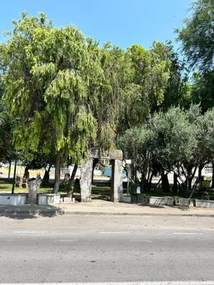 Giardino di Casa Mammai