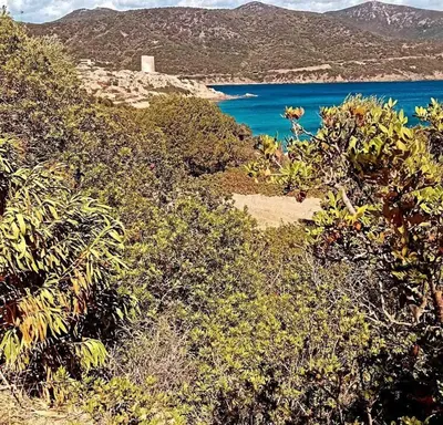 Paesaggio naturale nelle vicinanze dell'appartamento