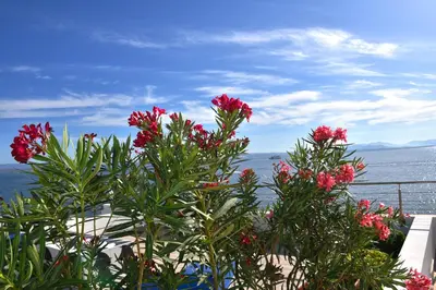 Paesaggio naturale nelle vicinanze dell'appartamento