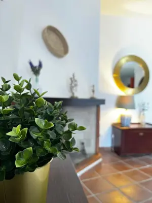 Planimetria di Villa Arianna