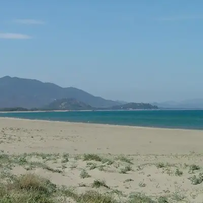House 10' from the sea