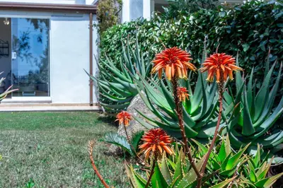Giardino di Villa Cala Pira sul mare con Wi-Fi