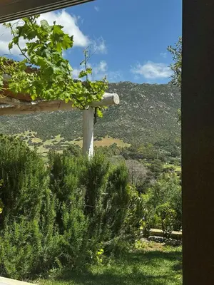 Vista generica sulle montagne o vista sulle montagne dall'interno della casa vacanze