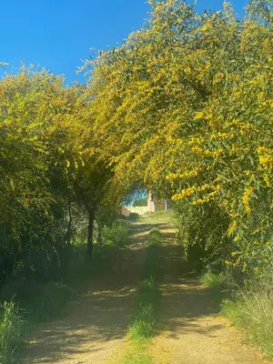 Paesaggio naturale nelle vicinanze della casa vacanze