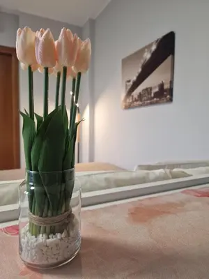 Planimetria di NinnHouse