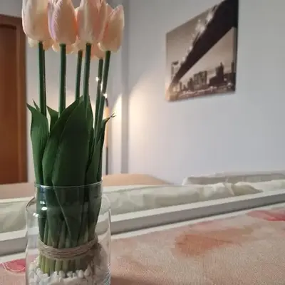 NinnHouse