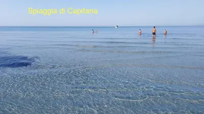 Paesaggio naturale nelle vicinanze dell'appartamento