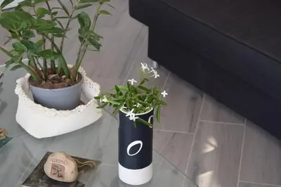 Planimetria di Moon - Casa Vacanze