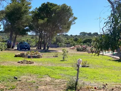 Giardino di Villa Gli Oleandri