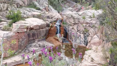 Paesaggio naturale nelle vicinanze dell'appartamento