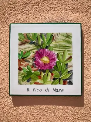 Planimetria di Il Fico di Mare - 100m from the beach