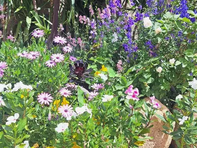 Giardino di I Girasoli Apartment - South Sardinia - Capoterra