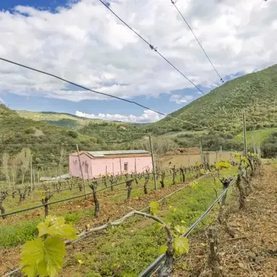 Podere Is Tres Fradis
