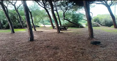 Giardino di Dal tramonto all' alba
