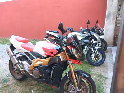 Planimetria di Entula
