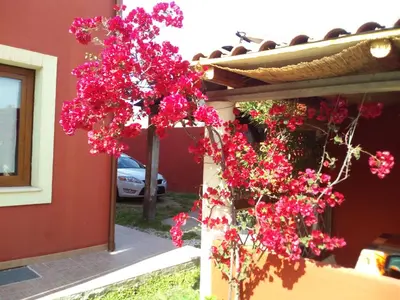 Planimetria di Entula