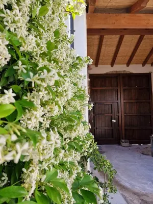Giardino di La Casa Vecchia