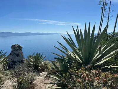 Paesaggio naturale nelle vicinanze dell'appartamento