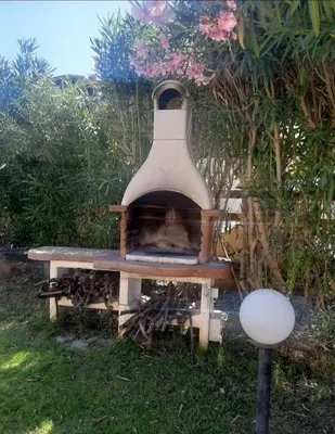 Giardino di Villa Tiziana
