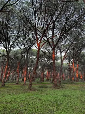 Paesaggio naturale nelle vicinanze dell'appartamento