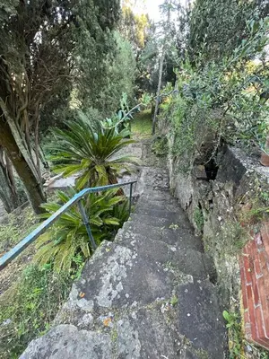 Giardino di Villa Iole