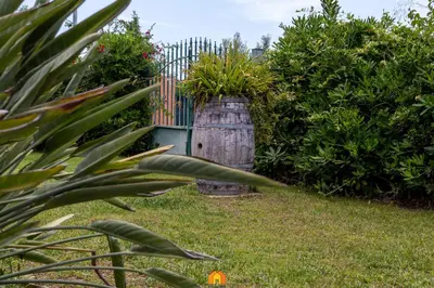 Giardino di Villa Ferula
