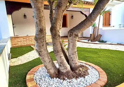 Giardino di Villa ROSA Tertenia