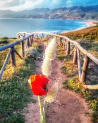Paesaggio naturale nelle vicinanze dell'appartamento