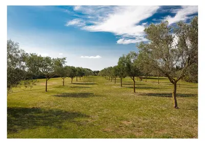 Paesaggio naturale nelle vicinanze dell'agriturismo