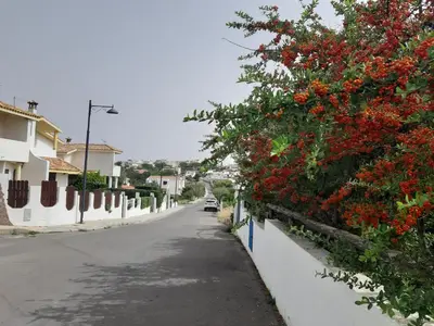 Il quartiere o una zona nella vicinanze della casa vacanze