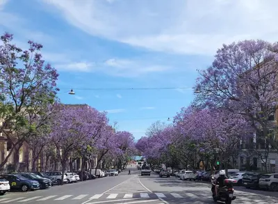 Il quartiere o una zona nella vicinanze dell'appartamento