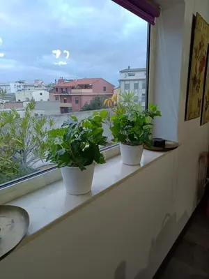 Balcone o terrazza di La Terrazza Fiorita