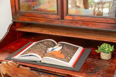 Biblioteca nella villa
