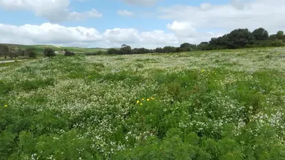 Paesaggio naturale nelle vicinanze della stanza in casa privata