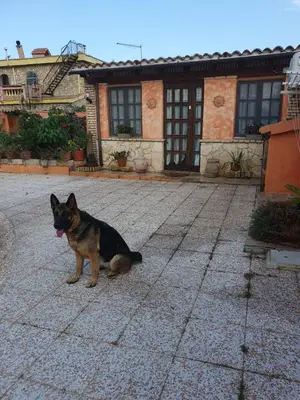 Ospiti di Casa Elisa con animali domestici