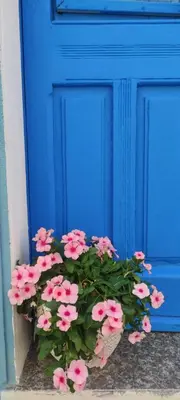 Planimetria di La casa del Paguro Bernardo