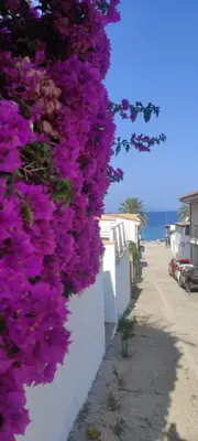 Paesaggio naturale nelle vicinanze dell'appartamento