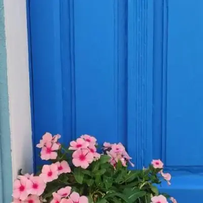 La casa del Paguro Bernardo