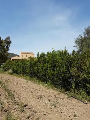 Planimetria di Agriturismo Villino Elena