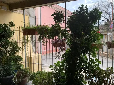 Giardino di Loft di Gianluca e Grazia