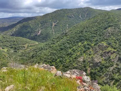 Paesaggio naturale nelle vicinanze della casa vacanze